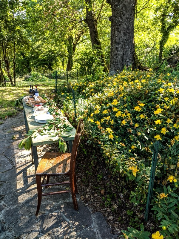 Outdoor dining under oak trees with wine and local food